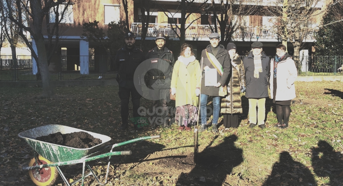 VENARIA - «Festa della Nascita»: cinque nuovi alberi nelle scuole Rigola e Boccaccio - FOTO