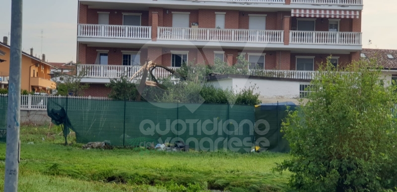 VENARIA-BORGARO-CASELLE-MAPPANO - Maltempo: tetti scoperchiati e alberi abbattuti