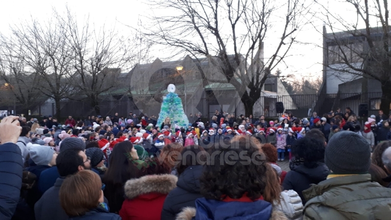VENARIA - Alla Romero ecco l'albero creativo: realizzato con le bottiglie di plastica vuote