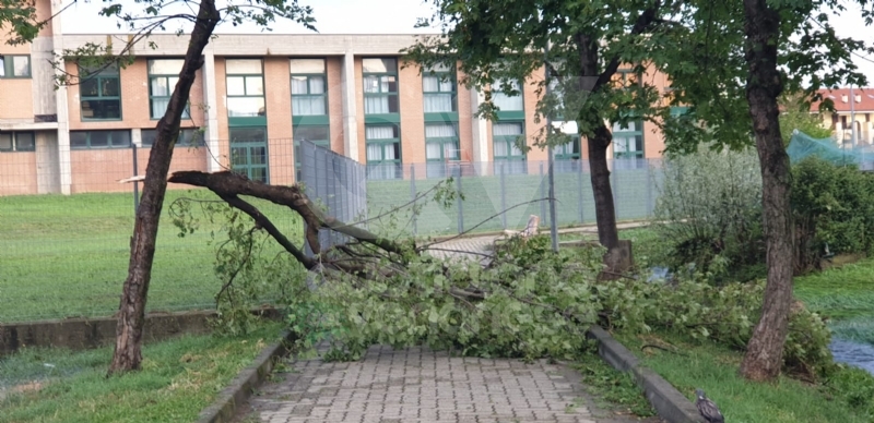VENARIA-BORGARO-CASELLE-MAPPANO - Maltempo: tetti scoperchiati e alberi abbattuti