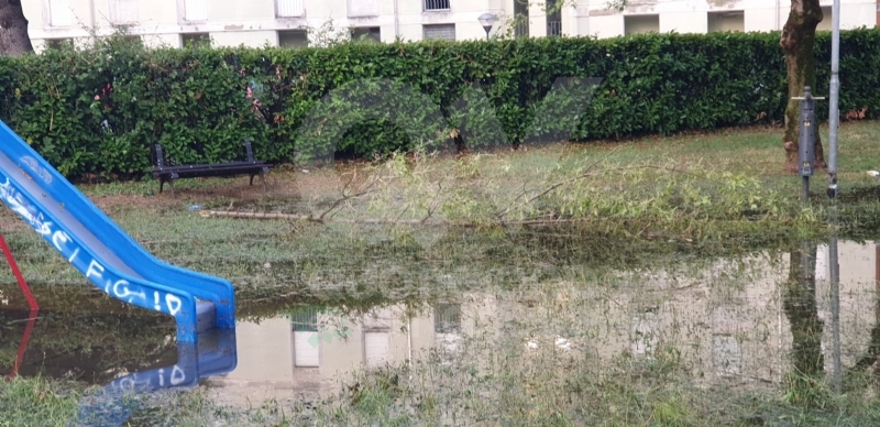 VENARIA-BORGARO-CASELLE-MAPPANO - Maltempo: tetti scoperchiati e alberi abbattuti