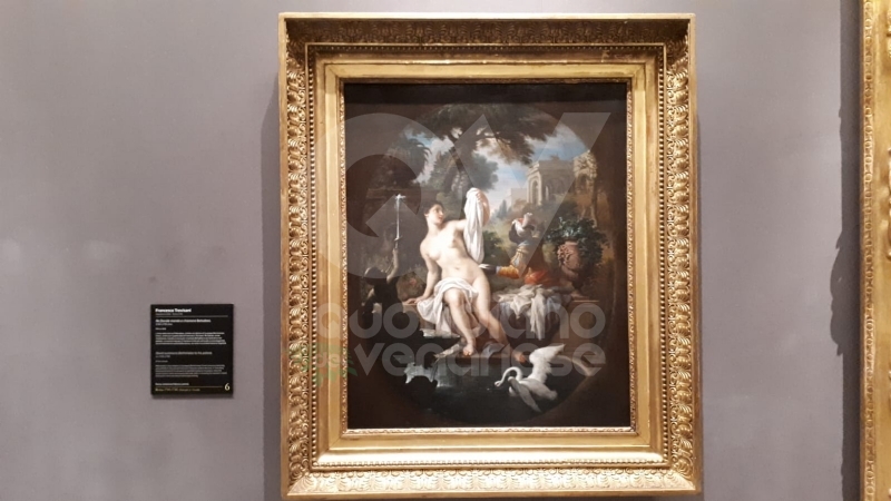 VENARIA - Anche la Reggia torna alla normalità: riapre i battenti con «Sfida al Barocco» FOTO