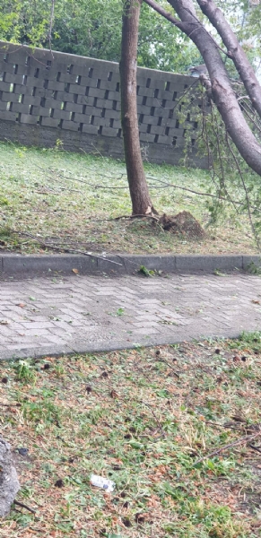 VENARIA-BORGARO-CASELLE-MAPPANO - Maltempo: tetti scoperchiati e alberi abbattuti