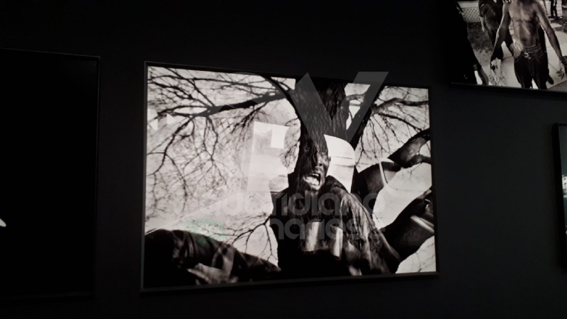VENARIA - Le guerre immortalate negli scatti di Pellegrin nella mostra «Un'Antologia» alla Reggia - FOTO