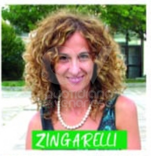 VENARIA ELEZIONI AMMINISTRATIVE 2020 - La lista di Per Venaria Insieme - FOTO