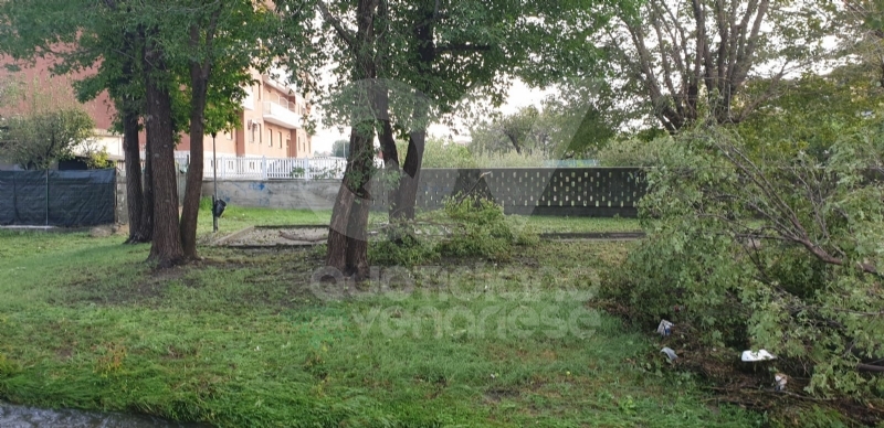 VENARIA-BORGARO-CASELLE-MAPPANO - Maltempo: tetti scoperchiati e alberi abbattuti