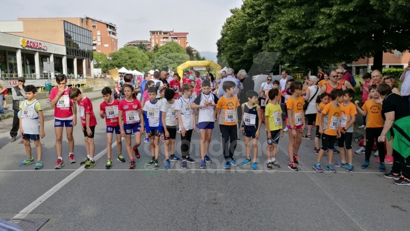 VENARIA - Che successo per la StraVenaria: le foto della manifestazione degli «Amici di Giovanni»