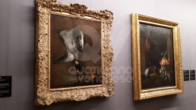VENARIA - Anche la Reggia torna alla normalità: riapre i battenti con «Sfida al Barocco» FOTO