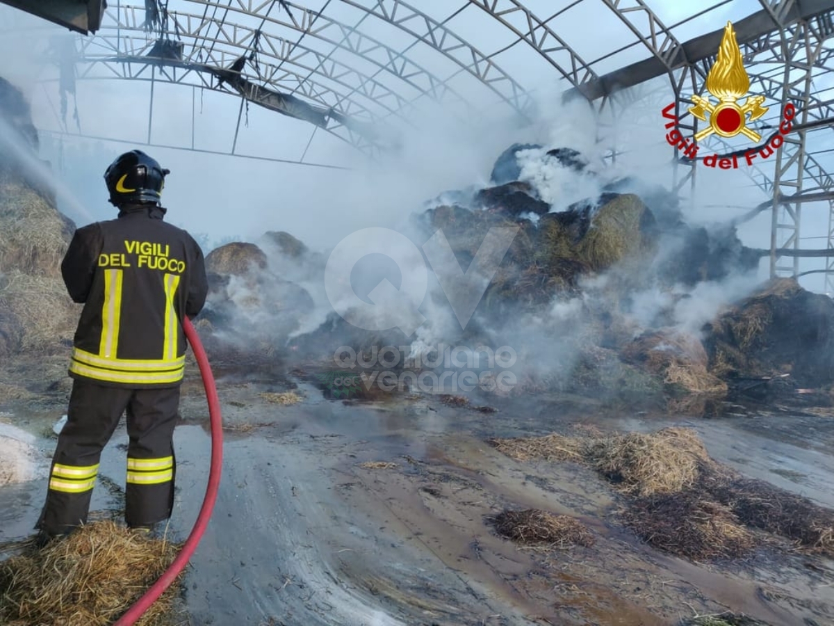 PIANEZZA - Incendio all'azienda agricola «La Primula»: distrutti 700 metri quadri di deposito fieno - FOTO