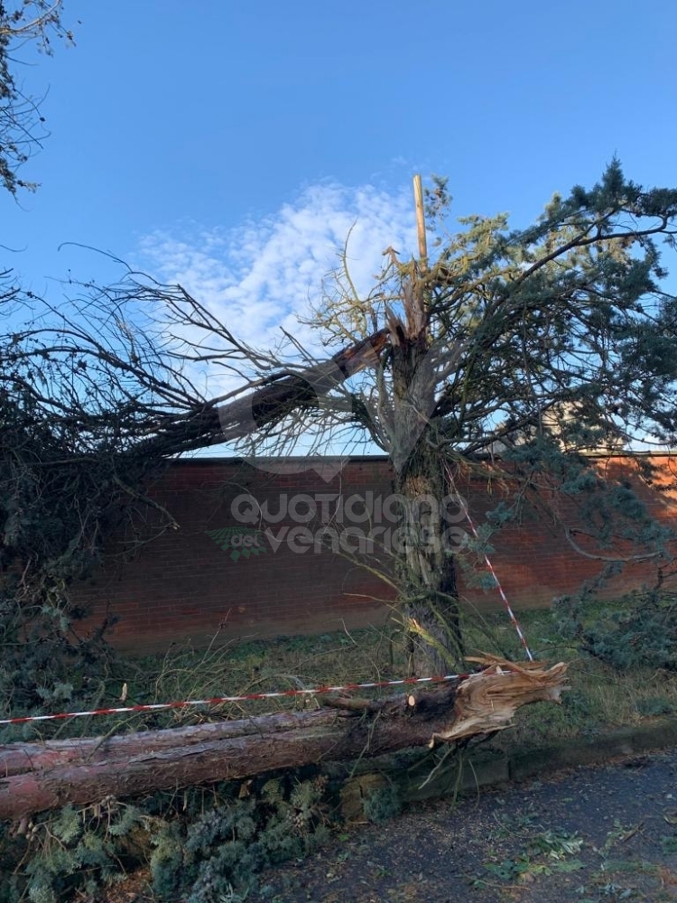 GRANDINATA A VENARIA - Danneggiata la De Amicis, caduti decine di alberi, auto rovinate. Giulivi: «Chiederemo la calamità naturale» - FOTO