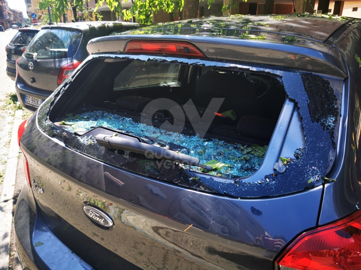GRANDINATA A VENARIA - Danneggiata la De Amicis, caduti decine di alberi, auto rovinate. Giulivi: «Chiederemo la calamità naturale» - FOTO