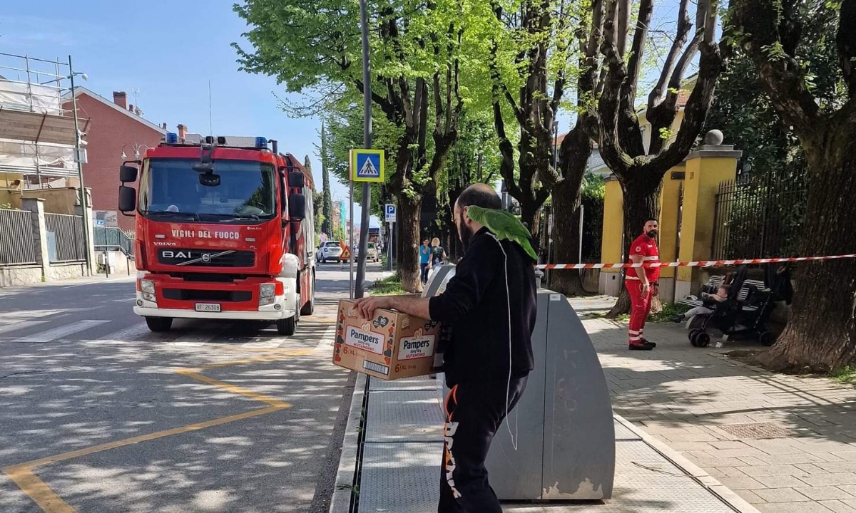 DRUENTO - Pappagallo scappa di casa: ritrovato e salvato dai vigili del fuoco - FOTO