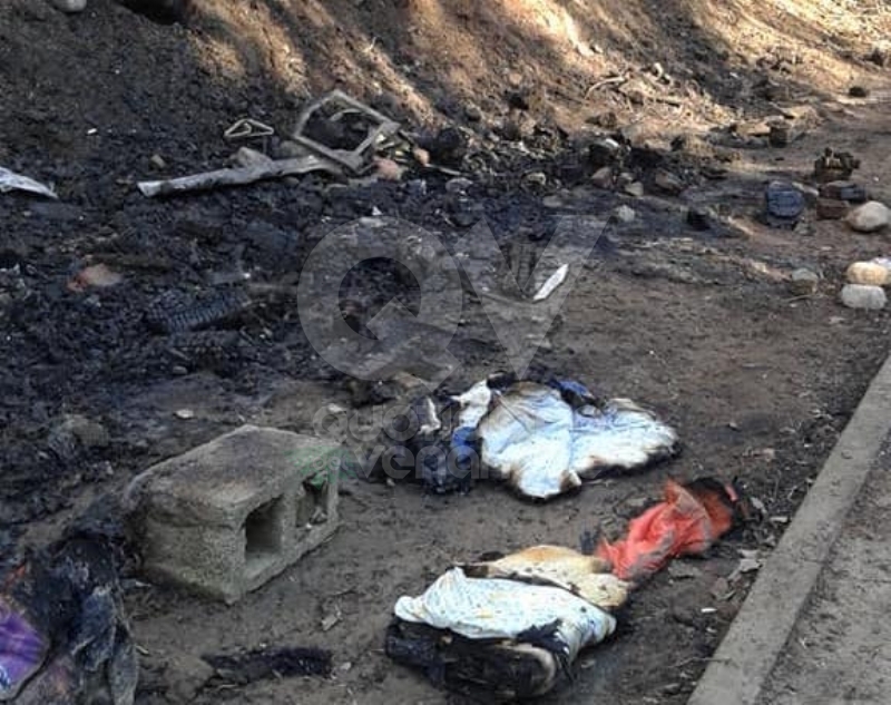 RIVOLI-GRUGLIASCO - Idioti in azione: bruciato il «villaggio felino» e alcuni alberi