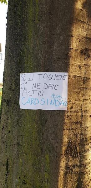 VENARIA - Cartelli e disegni per dire «no» all'abbattimento degli alberi in via Amati