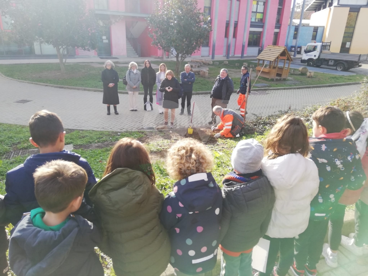 PIANEZZA - Alla primaria «Manzoni» successo per l'iniziativa «Un albero per il futuro» - FOTO