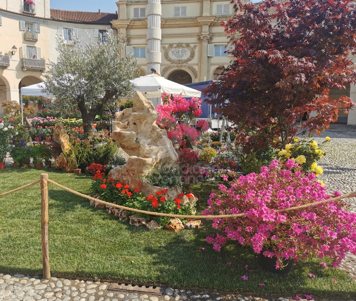 VENARIA - Iniziata la «Festa delle Rose»: due giorni all'insegna di fiori, prelibatezze e spensieratezza - FOTO