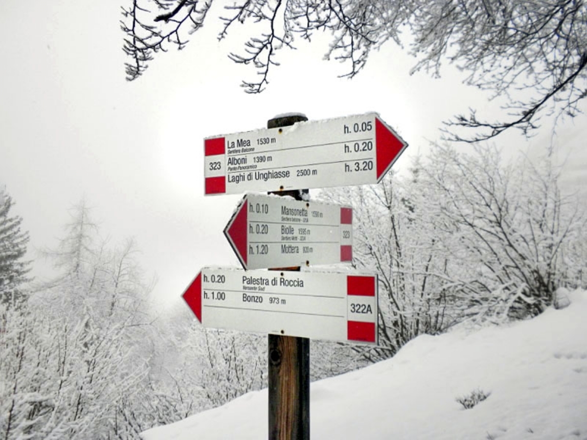 Legno, alluminio, metalli e pietra: l'importanza della segnaletica ambientale e turistica - FOTO