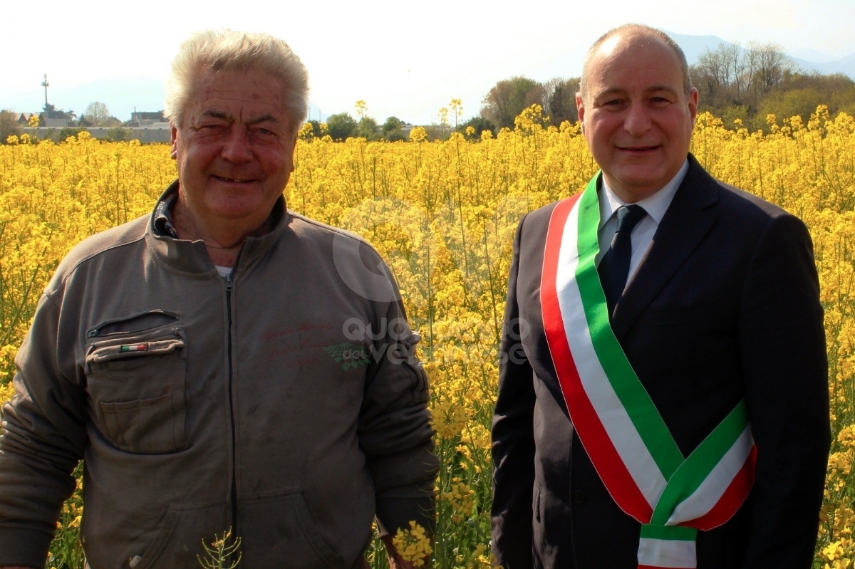 COLLEGNO - La città dice addio a Oreste Dentis, «il custode» dei campi di girasole di viale Certosa