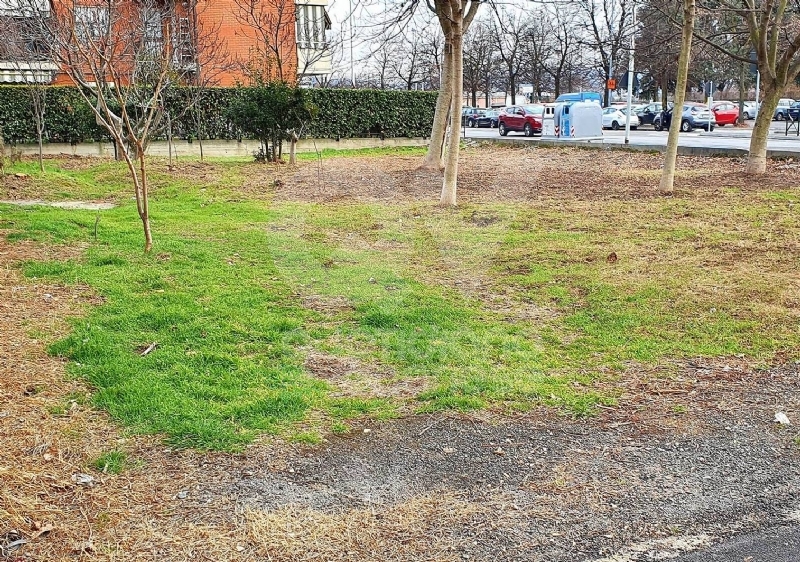 VENARIA - Degrado delle aree private: prime pulizie e nuove lettere d'intimazione - FOTO