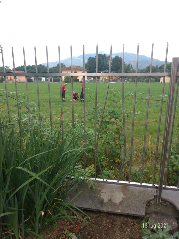 FIANO-GIVOLETTO - Capriolo incastrato tra le sbarre: salvato a Fiano. Un altro morto a Givoletto