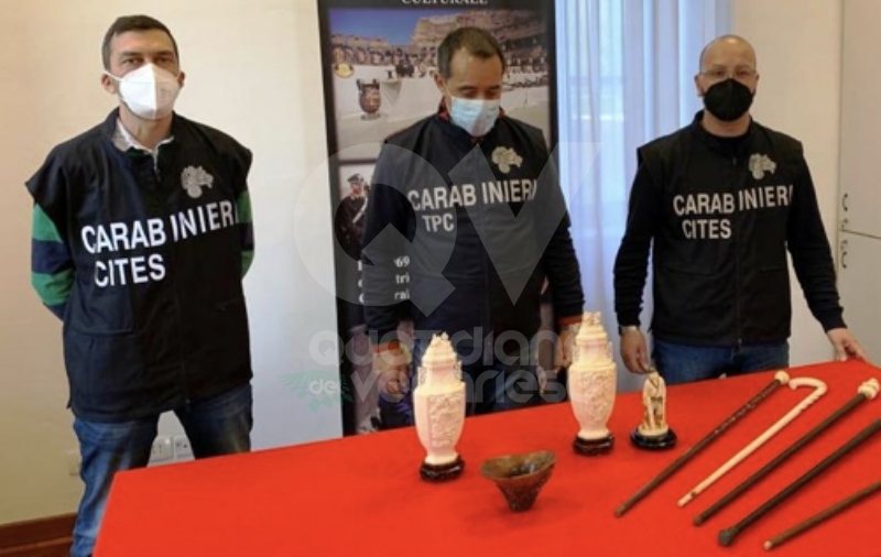TORINO-CASELLE - Sequestrate opere d'arte realizzate con parti di tartaruga o rinoceronte