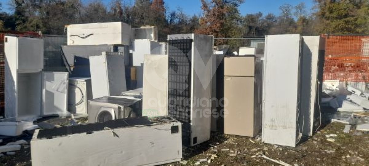 CASELLE - Elettrodomestici gettati al lago dei Cigni: discarica abusiva sequestrata e due denunciati - FOTO