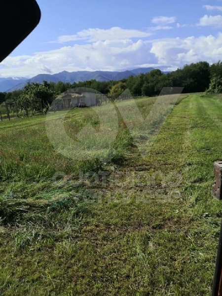 DRUENTO - Il Suv passa sui terreni agricoli di Strada Cortese e Strada Pasturanti, rovinandoli