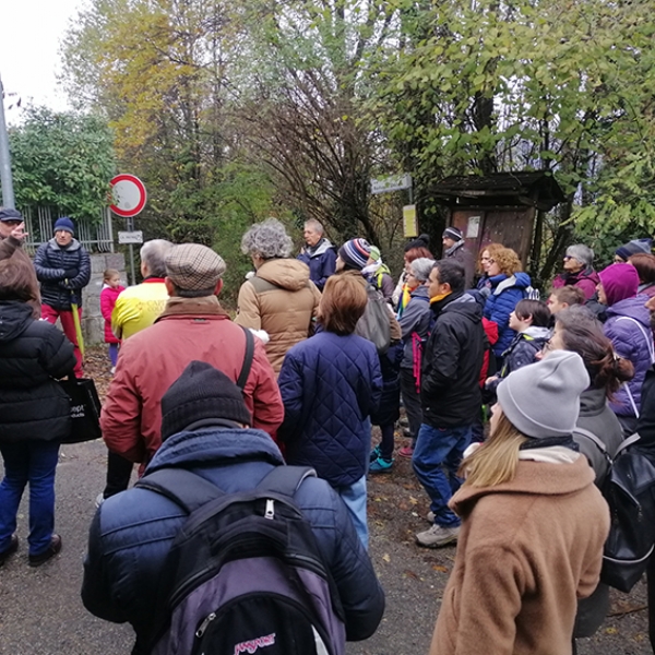 RIVOLI - Oltre 70 persone alla scoperta della collina morenica grazie a «Rivoli Città Attiva»