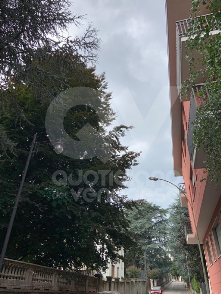 RIVOLI - Nuova illuminazione pubblica nelle vie Vecco, Tenda e Bonadonna