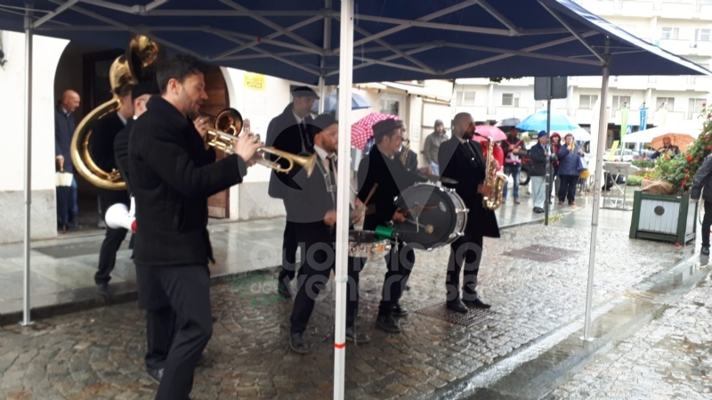 VENARIA - «Festa delle Rose»: un successo a metà per colpa della pioggia