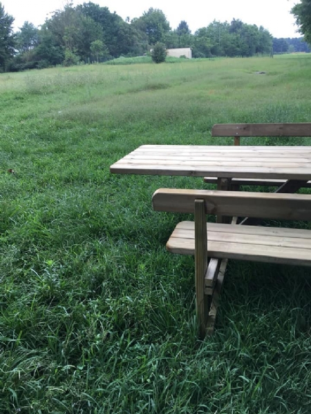 BORGARO - Apre la nuova area pic-nic nel parco Chico Mendes