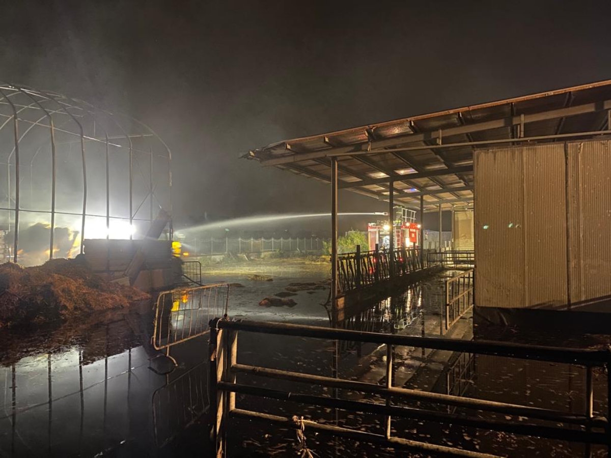 SAVONERA - Dopo l'incendio al fienile, la solidarietà di Coldiretti: «Siamo a disposizione» - FOTO