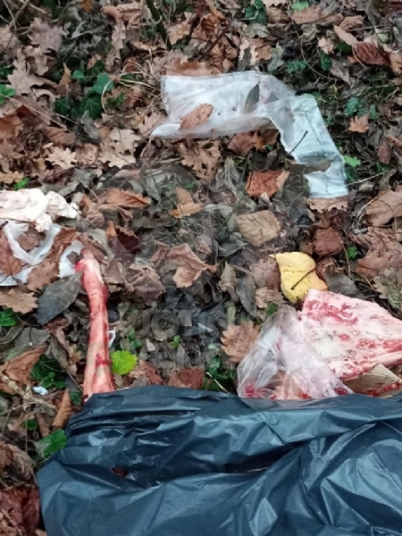 GIVOLETTO - Giallo in strada degli Anterei: animale scuoiato e chiuso in un sacco nero FOTO