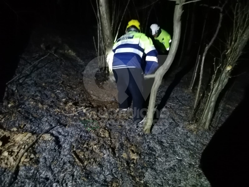 DRUENTO - Incendio boschivo in strada Rive: roghi spenti da pompieri, Aib e Protezione Civile
