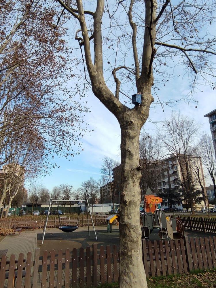COLLEGNO - Nel giardino «Dell'Amicizia» ecco le casette per incentivare gli uccelli a nidificare - FOTO