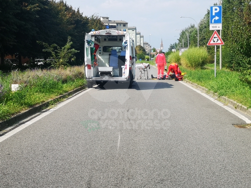 VENARIA - Entra un'ape nel casco e perde il controllo dello scooter: uomo finisce in ospedale