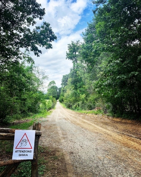 PARCO MANDRIA - Riaperto il Viale dei Roveri: era chiuso da oltre un mese, causa nubifragio