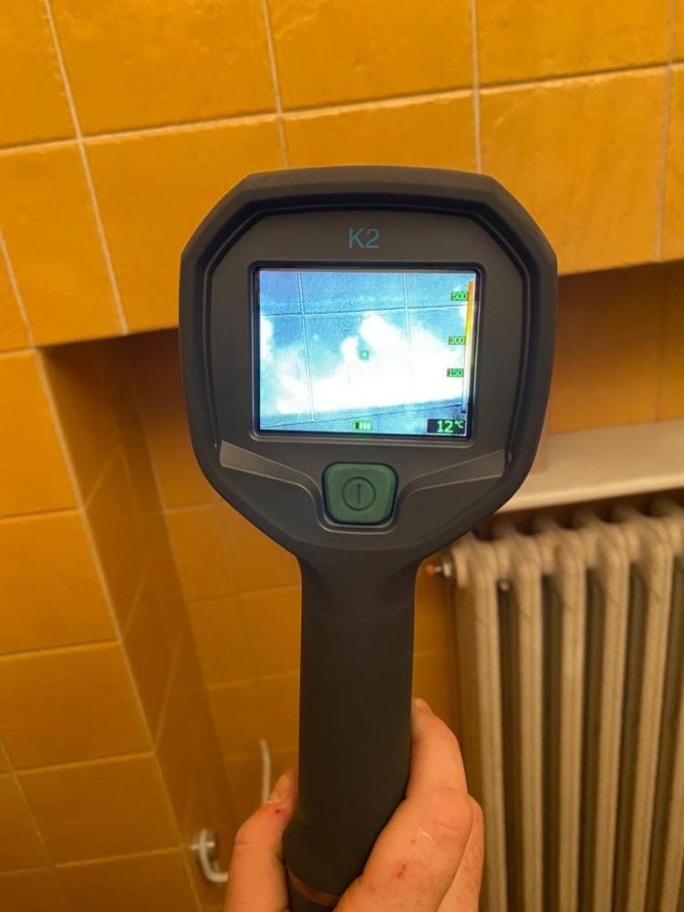 COLLEGNO - Gattino intrappolato nell'intercapedine di una cantina: salvato dai pompieri - FOTO