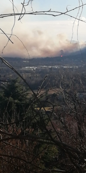 CASELETTE-VAL DELLA TORRE - Incendio sul Musiné: situazione sotto controllo