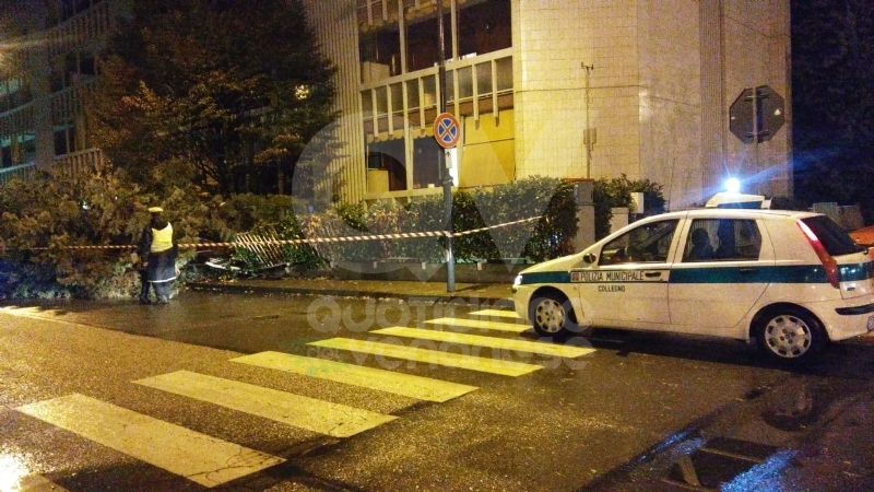 MALTEMPO - Albero e una insegna crollati sulle auto, strade allagate