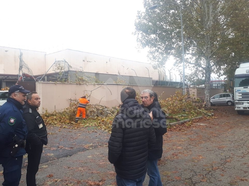 VENARIA - MALTEMPO: Parte la conta dei danni. Sopralluogo del sindaco in tutta la città