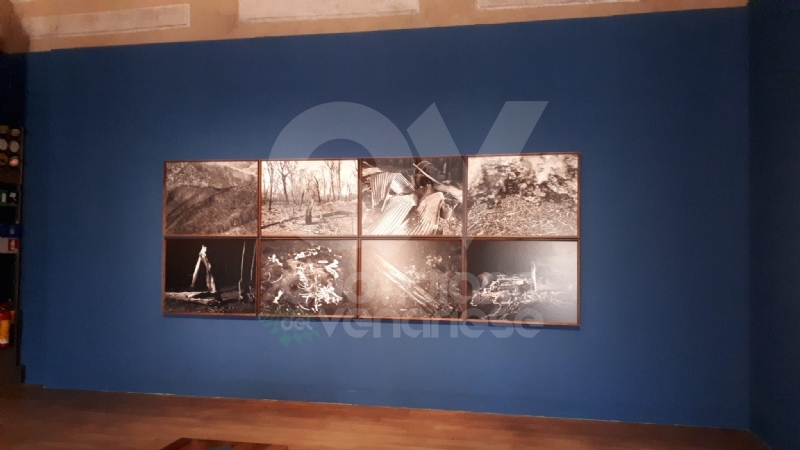 VENARIA - Le guerre immortalate negli scatti di Pellegrin nella mostra «Un'Antologia» alla Reggia - FOTO
