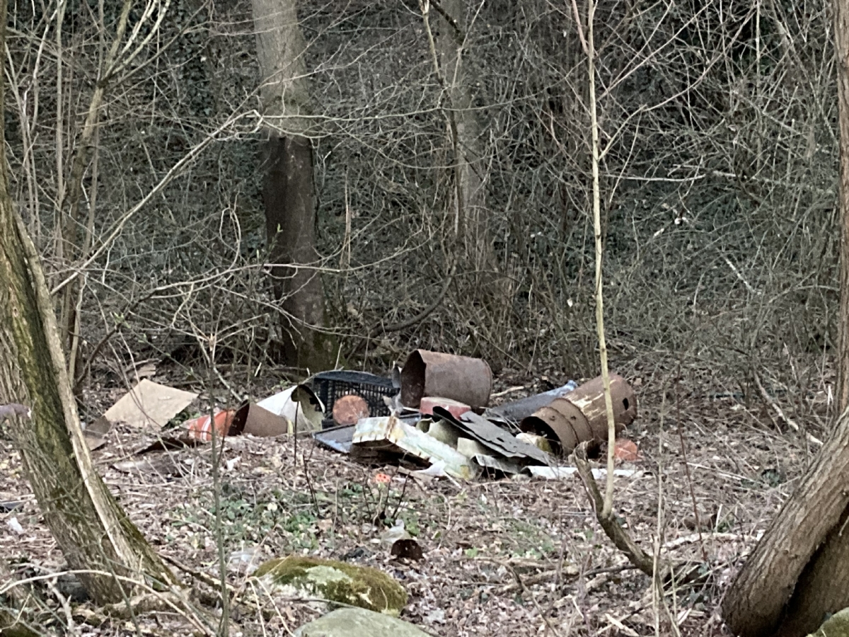 COLLEGNO - La denuncia di Lega e Fdi: «Una discarica abusiva in via San Martino» - FOTO