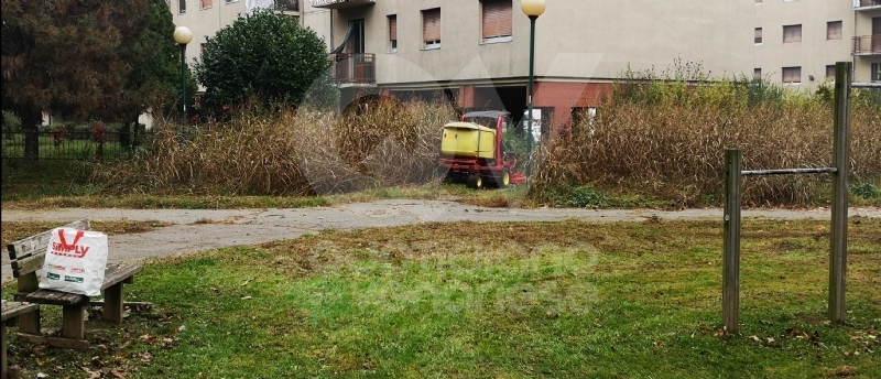VENARIA - Al via il taglio dell'erba nel quartiere di Altessano