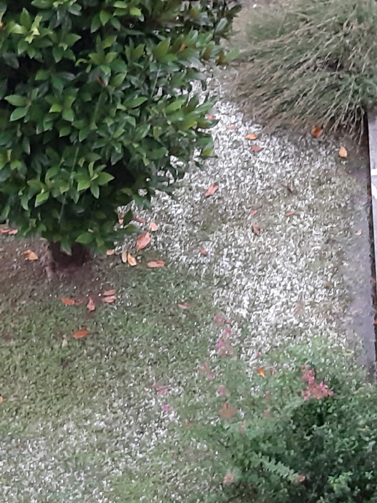 GRANDINATA NELLA ZONA OVEST Chicchi medio-piccoli, code in tangenziale - FOTO