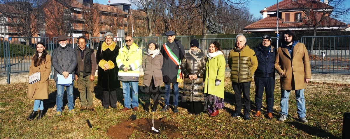 VENARIA - «Festa della Nascita»: cinque nuovi alberi nelle scuole Rigola e Boccaccio - FOTO