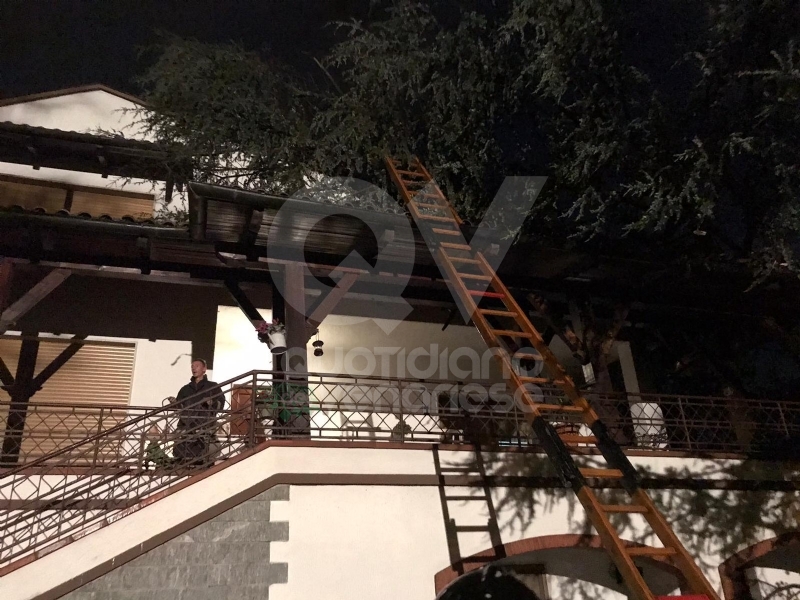 MAPPANO - Il forte vento fa cadere un albero di grosso fusto su una casa in via Meucci