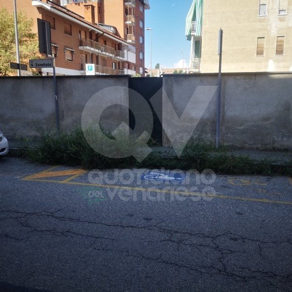 VENARIA - LA SEGNALAZIONE: L'erba alta nasconde il parcheggio per portatori di disabilità
