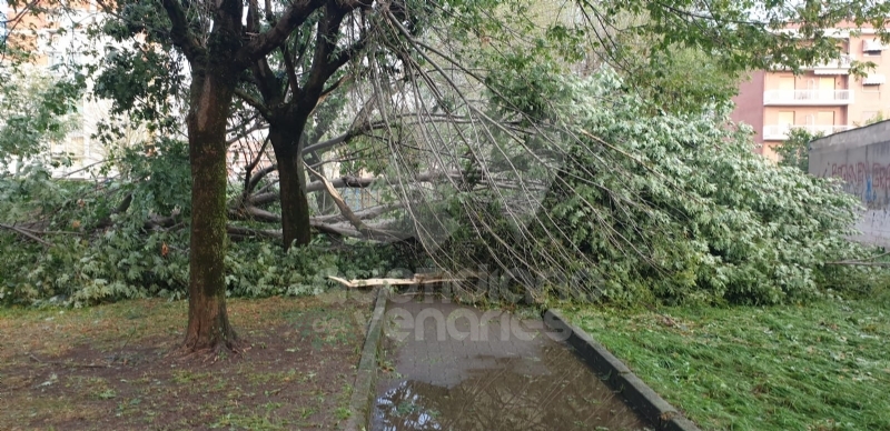 VENARIA-BORGARO-CASELLE-MAPPANO - Maltempo: tetti scoperchiati e alberi abbattuti