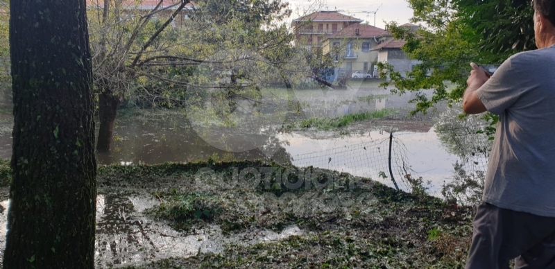 VENARIA-BORGARO-CASELLE-MAPPANO - Maltempo: tetti scoperchiati e alberi abbattuti
